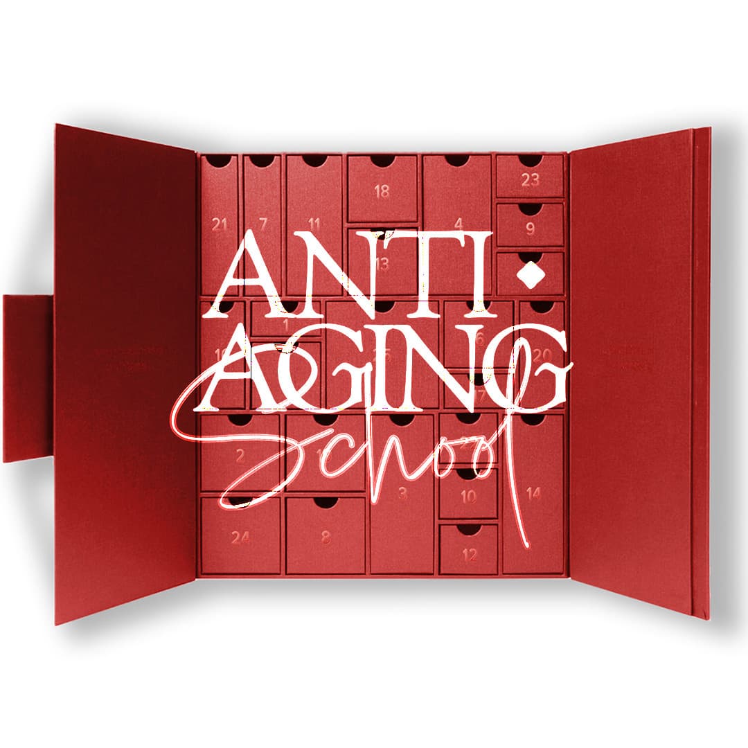 Advent Calendar 2025