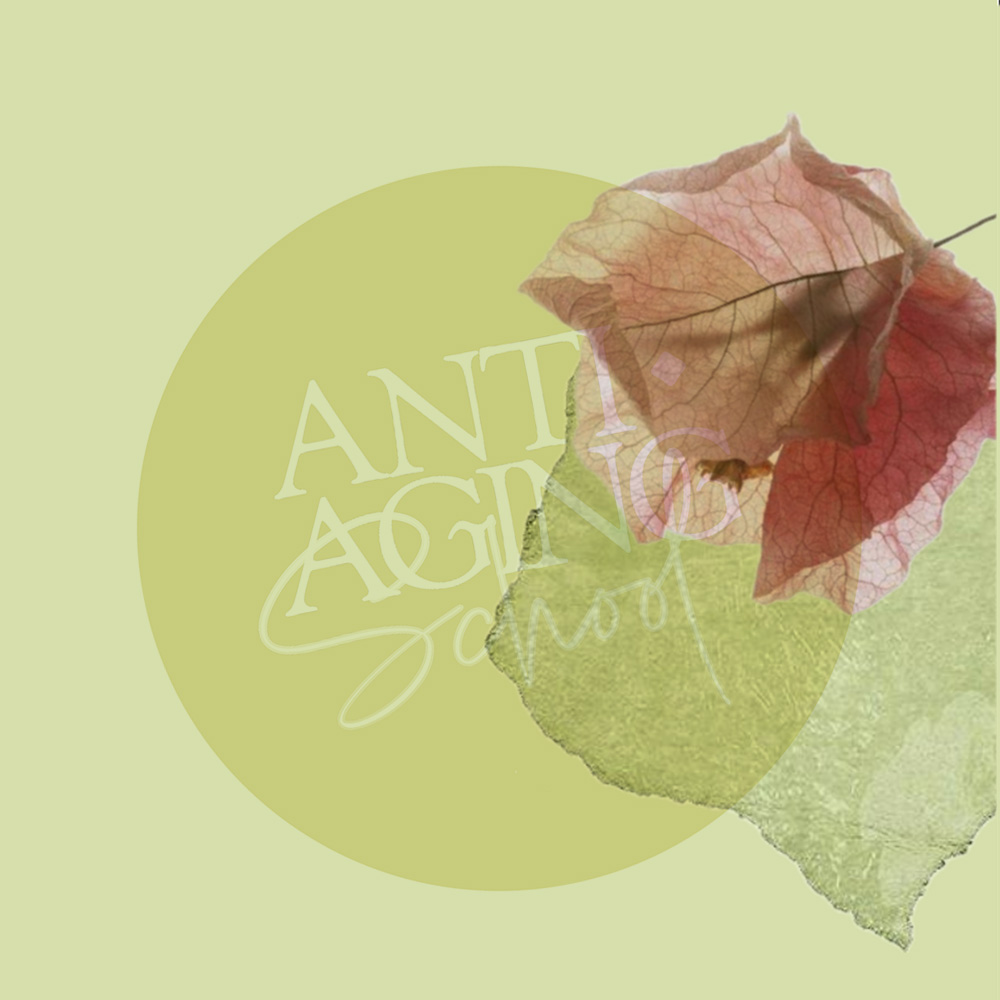 Šis gidas skirtas tau